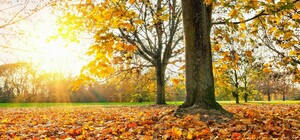 Теплые сентябрьские дни: какая погода будет в Одессе на следующей неделе