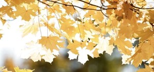 Тепло еще постоит: какая погода будет в Одессе на следующей неделе