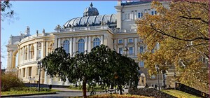 Золотой октябрь в Одессе: смотри, как это красиво (фото)