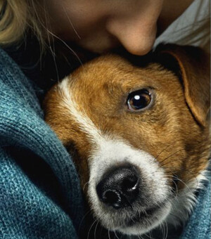 10 новых фильмов, которые выйдут в апреле 2024 года: трейлеры