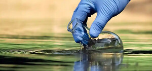 Какие водоемы в Харькове и области опасны для купания