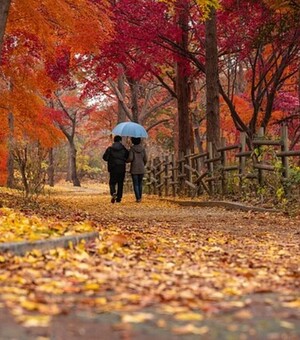 Куди піти у Львові цього тижня, 7-13 жовтня