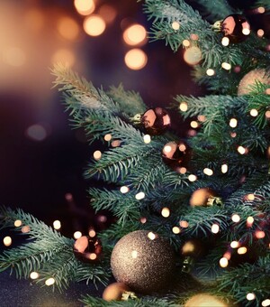 Сколько стоит праздничный декор и елка в Запорожье в 2024 году