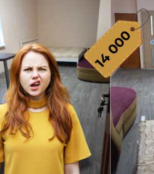 Ну, это перебор: ТОП-3 квартиры в Запорожье, сдающиеся по очень странной цене