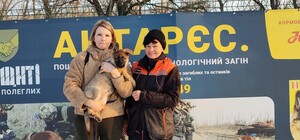 К волонтерскому поисково-спасательному отряду Павлограда присоединился щенок Никс