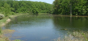 В Харьковской области запретили купаться в опасном водоеме