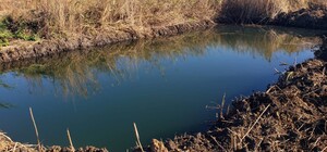 Житель Харьковской области самовольно выкопал ставок: ему грозит до трех лет тюрьмы