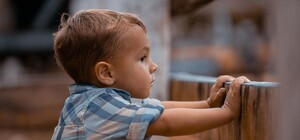 В Запорожье от укусов животных пострадали трое детей: как уберечься и что делать