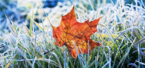 Облачно с прояснениями и заморозки: прогноз погоды в Харькове на неделю