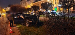 У Львові 22-річний водій BMW зніс дерево: відео  