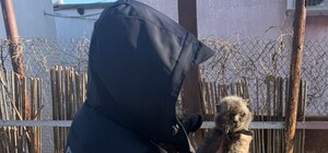 В Одессе котов держали на улице на привязи: реакция полиции