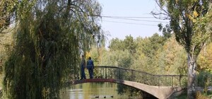 Симферопольцы устроят массовую пробежку