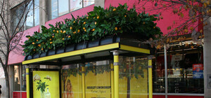 Дізнайся які: львівські зупинки обладнають Wi-Fi і зарядками для гаджетів