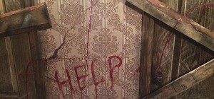 Черепа и кровь на стенах: на запорожском курорте появился страшный отель