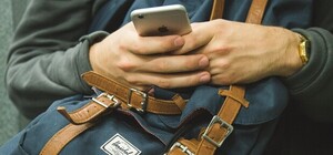 Заработало: в городе открыли еще одно Wi-Fi-дерево