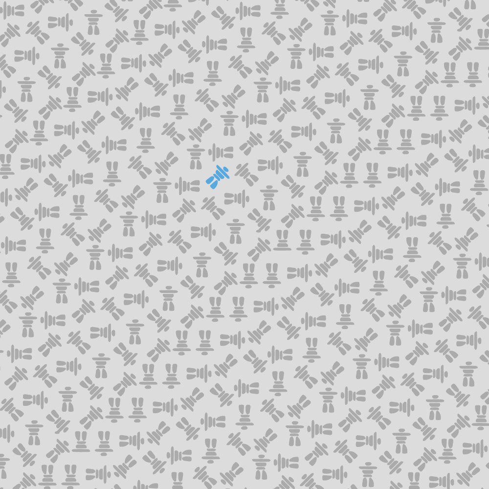 Зимний серфинг и новогодняя вписка на 250 человек: самые забавные новости этой недели